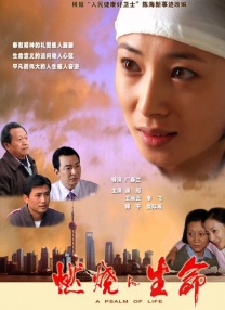 夫妻之间的感情